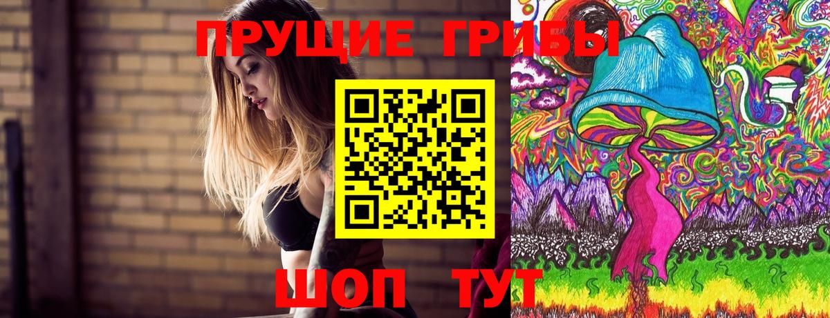 Галлюциногенные грибы Psilocybine cubensis Сердобск
